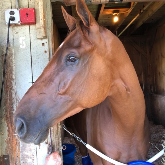 Meet your Posher - Picture 4 of 5